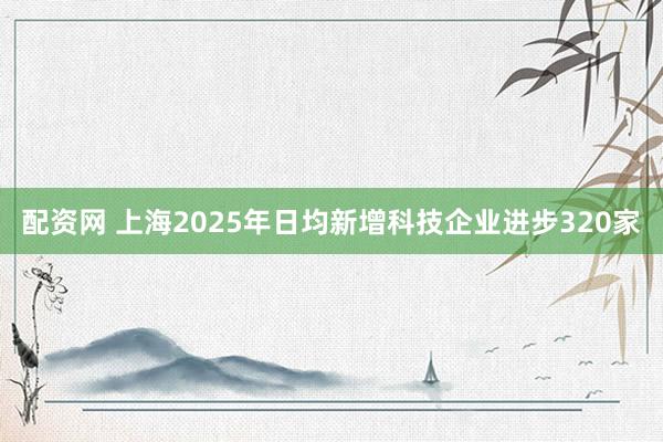 配资网 上海2025年日均新增科技企业进步320家