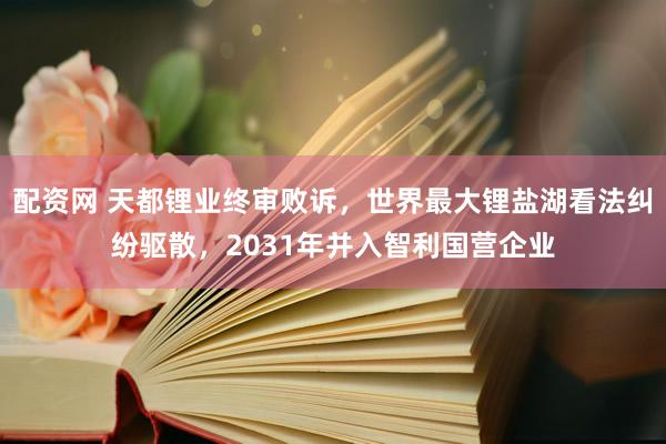 配资网 天都锂业终审败诉，世界最大锂盐湖看法纠纷驱散，2031年并入智利国营企业
