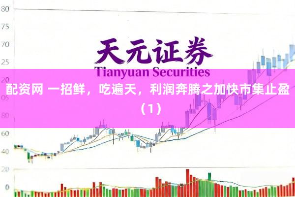 配资网 一招鲜，吃遍天，利润奔腾之加快市集止盈（1）
