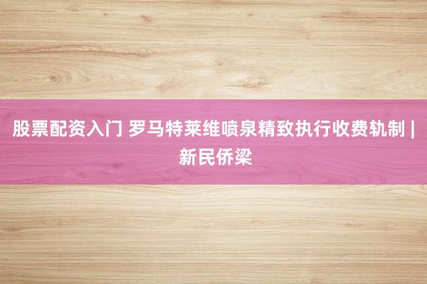股票配资入门 罗马特莱维喷泉精致执行收费轨制 | 新民侨梁
