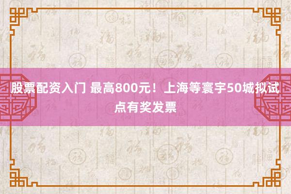 股票配资入门 最高800元！上海等寰宇50城拟试点有奖发票