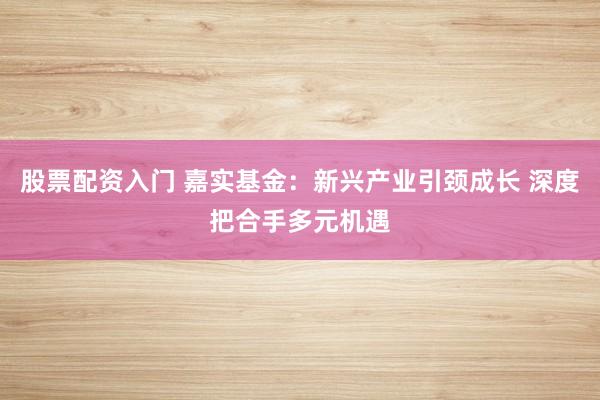 股票配资入门 嘉实基金：新兴产业引颈成长 深度把合手多元机遇