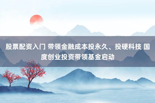 股票配资入门 带领金融成本投永久、投硬科技 国度创业投资带领基金启动