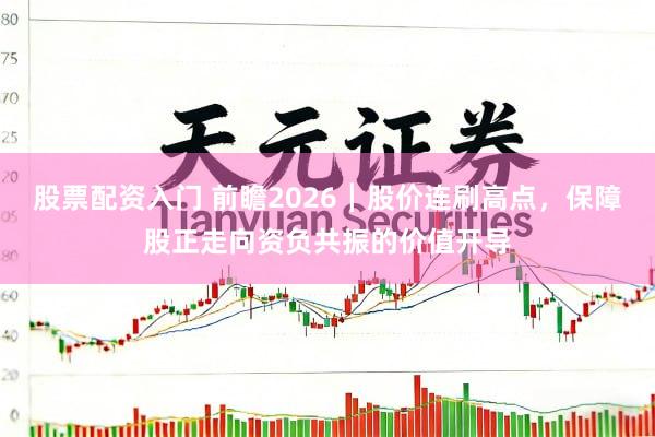 股票配资入门 前瞻2026┃股价连刷高点，保障股正走向资负共振的价值开导