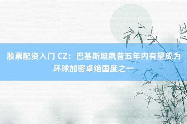 股票配资入门 CZ：巴基斯坦夙昔五年内有望成为环球加密卓绝国度之一