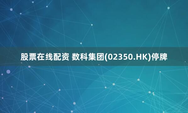 股票在线配资 数科集团(02350.HK)停牌