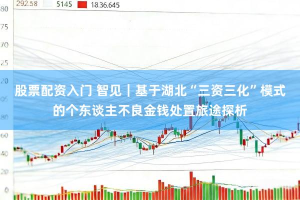 股票配资入门 智见｜基于湖北“三资三化”模式的个东谈主不良金钱处置旅途探析