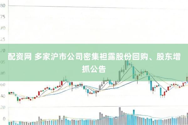 配资网 多家沪市公司密集袒露股份回购、股东增抓公告