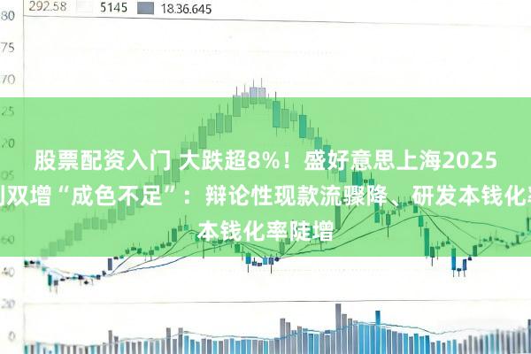 股票配资入门 大跌超8%！盛好意思上海2025年渔利双增“成色不足”：辩论性现款流骤降、研发本钱化率陡增