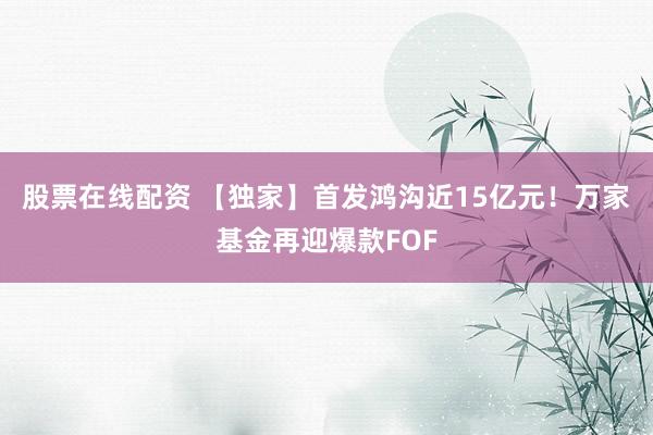 股票在线配资 【独家】首发鸿沟近15亿元！万家基金再迎爆款FOF
