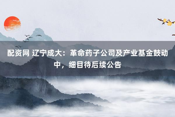 配资网 辽宁成大：革命药子公司及产业基金鼓动中，细目待后续公告