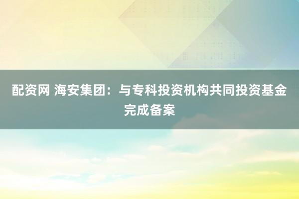 配资网 海安集团：与专科投资机构共同投资基金完成备案