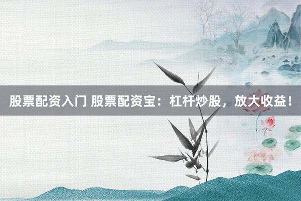 股票配资入门 股票配资宝：杠杆炒股，放大收益！
