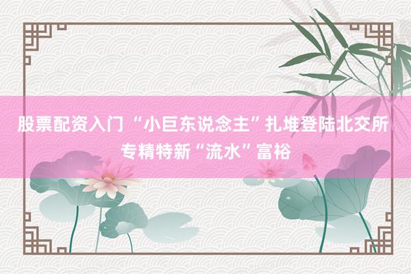 股票配资入门 “小巨东说念主”扎堆登陆北交所 专精特新“流水”富裕