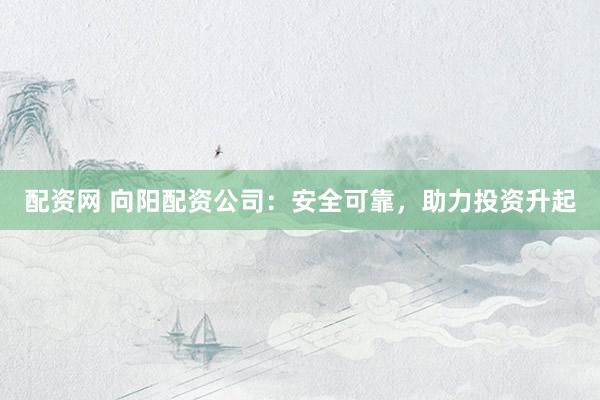 配资网 向阳配资公司：安全可靠，助力投资升起