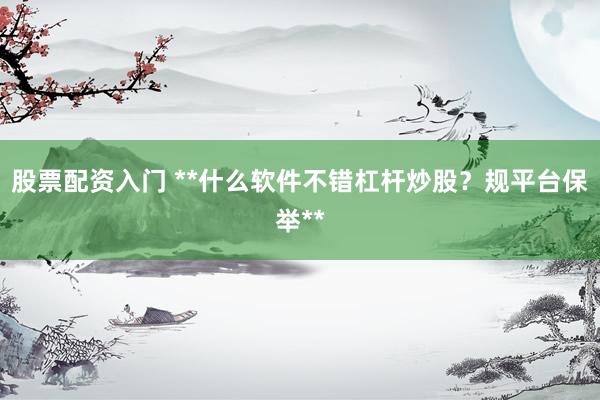 股票配资入门 **什么软件不错杠杆炒股？规平台保举**