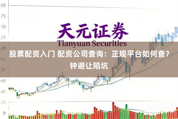 股票配资入门 配资公司查询：正规平台如何查？钟避让陷坑